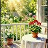 morning_glory48